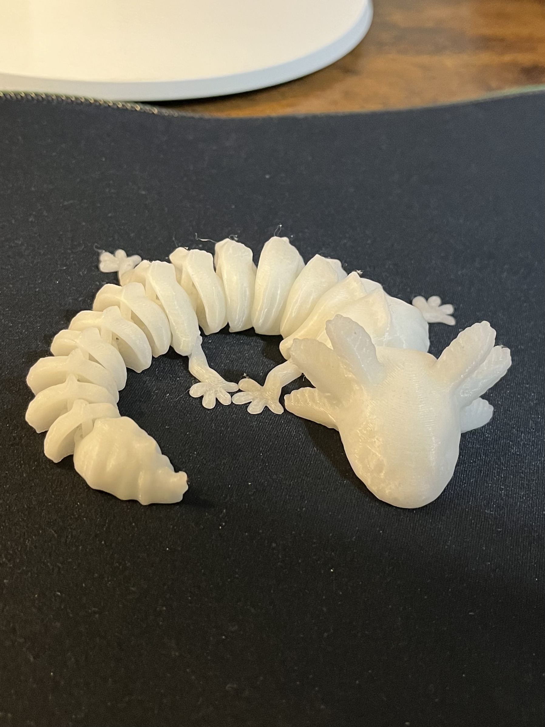 Articulated Axolotl