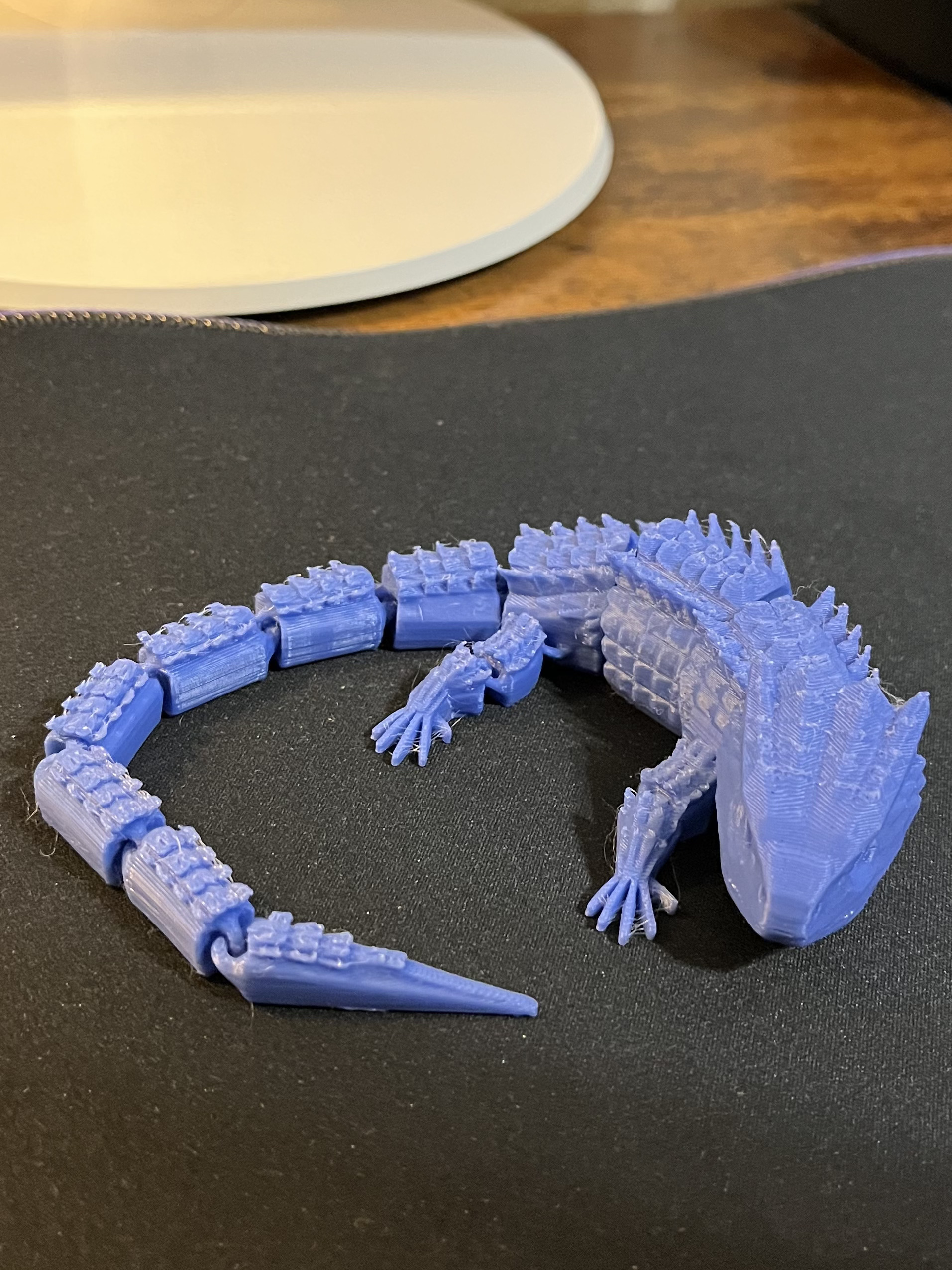 Articulated Lizard